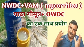 OWDCNWDCVAM और गाढ़े गौमूत्र सभी का एक साथ प्रयोग owdc nwdc vammycorrhiza [upl. by Ibmat494]