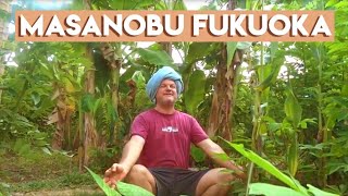 Using Masanobu Fukuokas natural farming principals in a permaculture food forest  Krishna McKenzie [upl. by Margarida]