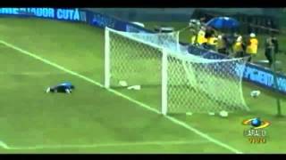 Golazo de Guarin Colombia vs Venezuela 1  1 Eliminatorias 2014 HD [upl. by Atteras]