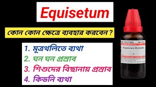 Uses of Equisetum Homeopathy Medicine । কিডনির সমস্যায় হোমিওপ্যাথি । [upl. by Conners8]