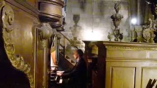 Dieu Saint A 180 Wie schön leuchtet des Morgenstern JSBACH J PLECOT Pierre ASTOR orgue [upl. by Zerlina]