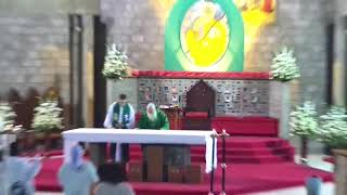 Consolata Shrine Live 02112024 500 PM 31st Sunday in Ordinary Time Year B [upl. by Kraska]