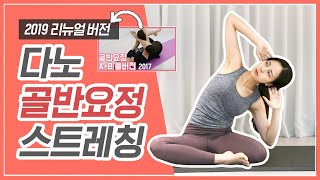 Eng 골반교정 스트레칭 2019ㅣ하체비만 다이어트 운동으로 매일 따라해보세요✨ㅣ다노티비 [upl. by Nash57]