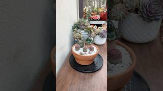 Succulent Tips Easy Repotting Technique For Cacti🌵succulents cactusrepotting [upl. by Sewellyn114]