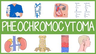 Pheochromocytoma in 3 Minutes [upl. by Seiden]