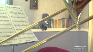 Hedwigs Theme on Trombone [upl. by Allanson]