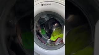 HOTPOINT WASHING MACHINE DOOR ALMOST FLIES OFF [upl. by Newo]