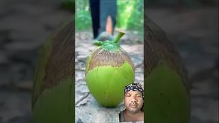 skills Survival camping satisfying fruit coconut bushcraft [upl. by Neirod762]