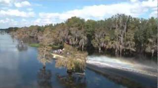 The Ultimate Orlando Wilderness Airboat DAY Adventure Alligator [upl. by Elumas937]