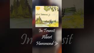 In Transit  Albert Hammond Jr cover guitarcover thestrokes alberthammondjr [upl. by Stedmann776]