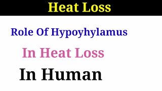 Heat Loss  Role of hypothalamus in Thermoregulation class 12 biology  Homeostasis [upl. by Charlean]