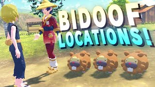 ALL 3 Bidoof Locations  Bothersome Bidoof Quest  Pokemon Legends Arceus [upl. by Roice]