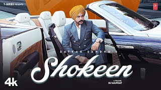 SHOKEEN Official Video  Satkar Sandhu  Latest Punjabi Songs 2023  TSeries [upl. by Gilus]