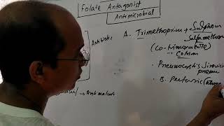 Antifolate antibiotics  folate antagonists [upl. by Omarr]