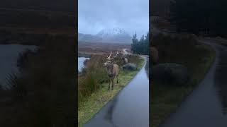 Glencoe Mountain Resort United Kingdom 🇬🇧 [upl. by Supple938]