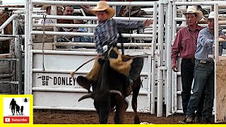 Calf amp Steer Riding  2022 Saints Roost Ranch Rodeo  Saturday [upl. by Vevine531]