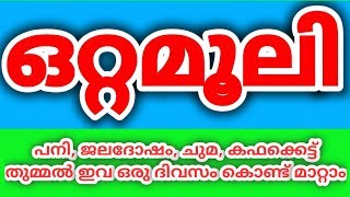 വീട്ടിൽ കിട്ടുന്ന ചില സാധനങ്ങൾ വെച്ച് ഉഗ്രൻ ഒരു ഒറ്റമൂലിOttamooli in Malayalam [upl. by Adnak]