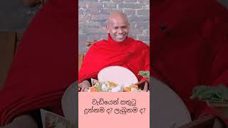 වැඩියෙන් සතුටු දුන්නමද 💫ලැබුනමද💫bana banakatha dharmadeshana welimadasaddhaseelathero [upl. by Wyatt]