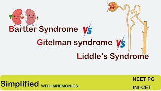 Bartter syndrome  Gitelman syndrome  Liddles Syndrome  simplified for NEET PG  INICET [upl. by Ariik]