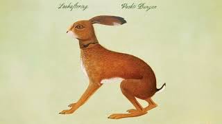 Vashti Bunyan  Lately Instrumental [upl. by Ddahc644]