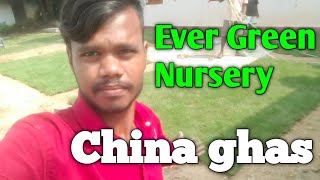 Evergreen nursery  Ghatsila  ghas lagane ka kam vlog vlogsvideo ghatsila [upl. by Eilyab15]