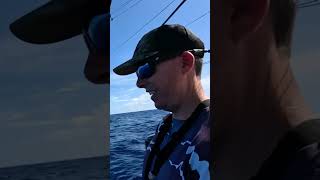 Blueline Tilefish while Deep Drop Fishing shorts fishing [upl. by Ecirb]