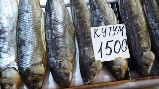 Астраханская сушеная рыбаDried Fish of Astrakhan Russia [upl. by Jennette]