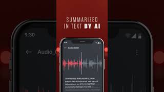 Voice Recorder amp AI Summarize [upl. by Tann]