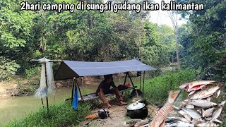 2hari camping di sungai gudang ikan Kalimantan tengah [upl. by Tadd440]