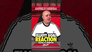 ELLIOTT GOAL REACTION  Wolves vs Liverpool [upl. by Kizzie]