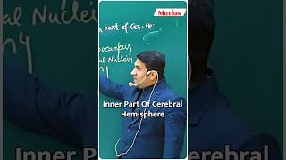 Emotional part of a Brain🧠😨IMotion NEET neet2025 neet absir biology shorts mbbs doctor nvsir [upl. by Annahsad]