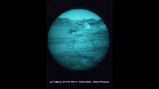 Currently in stock ACTinBlack DTNVS White Phosphor 2000 FOM [upl. by Katrinka]