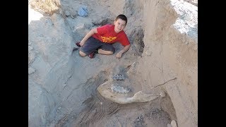 NMSU experts dig up Las Cruces boy’s millionyearold fossil find [upl. by Quartas808]