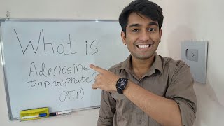 Learn What is Adenosine Triphosphate ATP  ATP  The Energy Currency of Cells  in Biology [upl. by Oicnedif854]