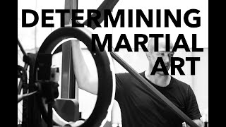 Determining Appropriate Martial Art  Questions to save you time [upl. by Michaeu]