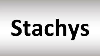 How to Pronounce Stachys [upl. by Adest]