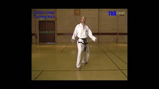 31 Taekwon Do Turning Kick Dollyo Chagi [upl. by Netta]