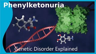 What is Phenylketonuria [upl. by Lasyrc527]