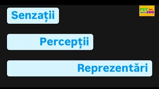 3 GRILE Procese Cognitive Senzoriale I Senzații  Percepții  Reprezentări I S  P  R [upl. by Shishko]