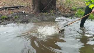 Draining Flooded Street With Major Amount Of Water Current [upl. by Trah]