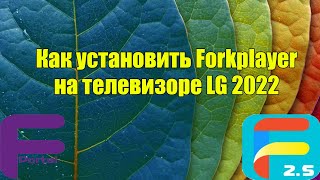 Установка и настройка Forkplayer на LG 2022 [upl. by Josh]