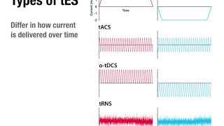 Lecture 13 pt 2  Transcranial Electrical Stimulation [upl. by Flessel260]