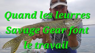 ☆ BROCHETS multi leurres ☆ Savage Gear leurre souple et swimbait [upl. by Nilesoj]