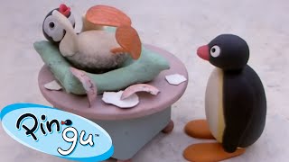 Pingus Little Sister Pinga 🐧  Pingu  Official Channel  Cartoons For Kids [upl. by Bolling128]