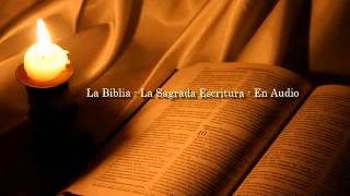 La Biblia Católica en audio 04 Evangelio según San Mateo Capítulo 11 y 12 [upl. by Gatian870]