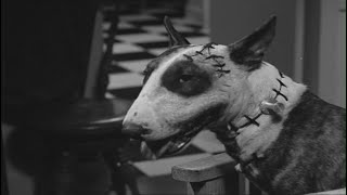 Франкенвини  Frankenweenie 1984 [upl. by Eonak]