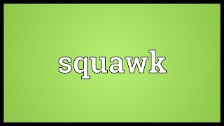 Squawk Meaning [upl. by Lorre]