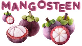 Mangosteen  Queen of Fruits  Discover the Tropical Wonders [upl. by Aleda]