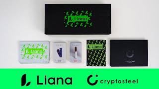 Liana x CryptoSteel  Bitcoin inheritance and builtin loss protection [upl. by Anaet]