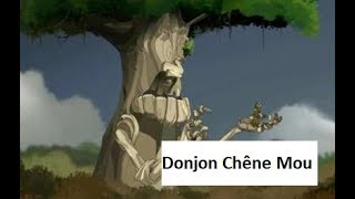 Dofus SH Donjon Chêne Mou commenté [upl. by Kallista344]